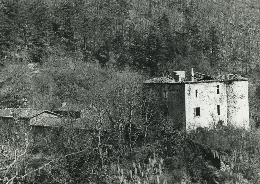 Château de Servières : Vue partielle du château dans son environnement depuis le Nord-Est