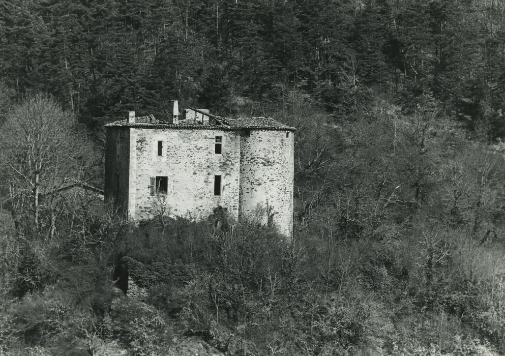 Château de Servières : Vue partielle du château dans son environnement depuis l’Ouest