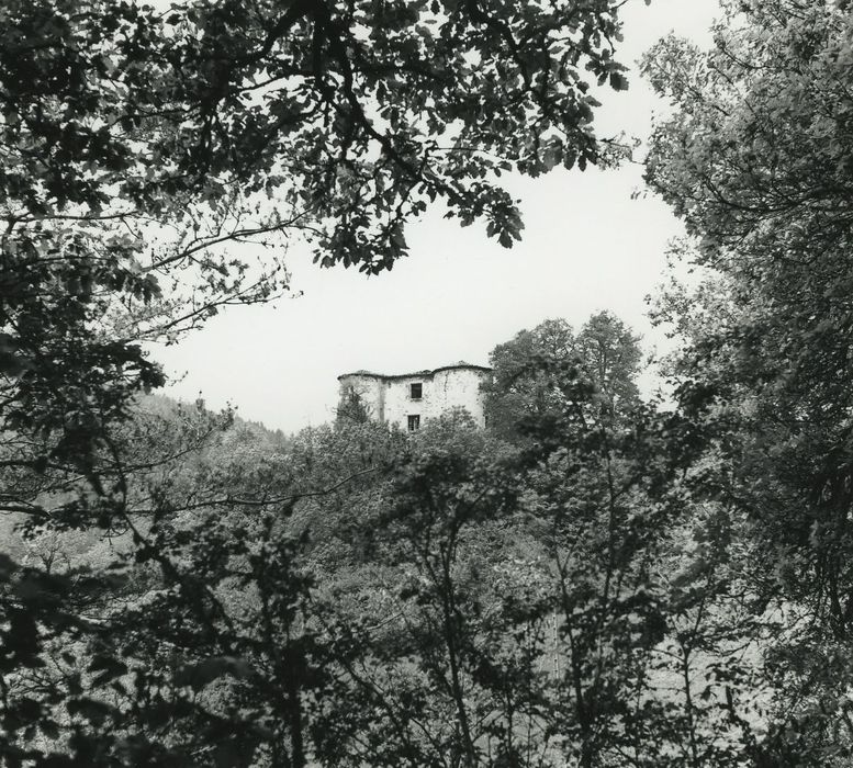 Château de Servières : Vue partielle du château dans son environnement depuis le Sud-Est