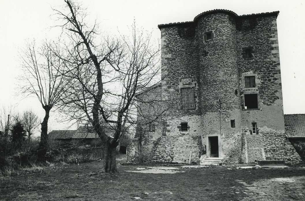 Maison-forte d'Azinière : Façade est, vue générale