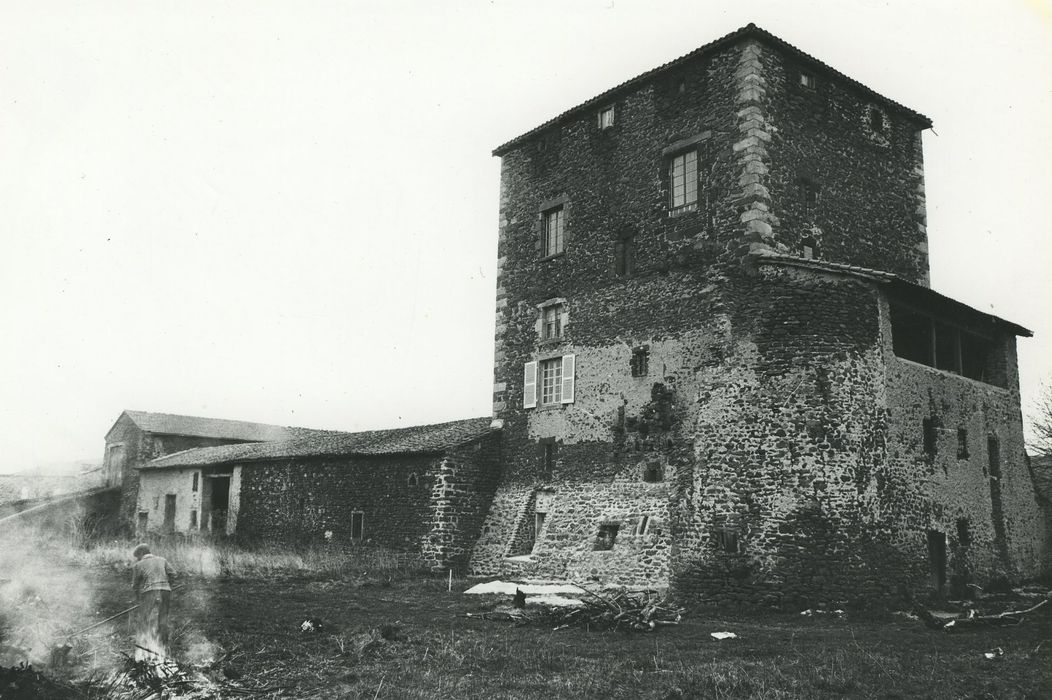 Maison-forte d'Azinière : Ensemble sud-ouest, vue générale