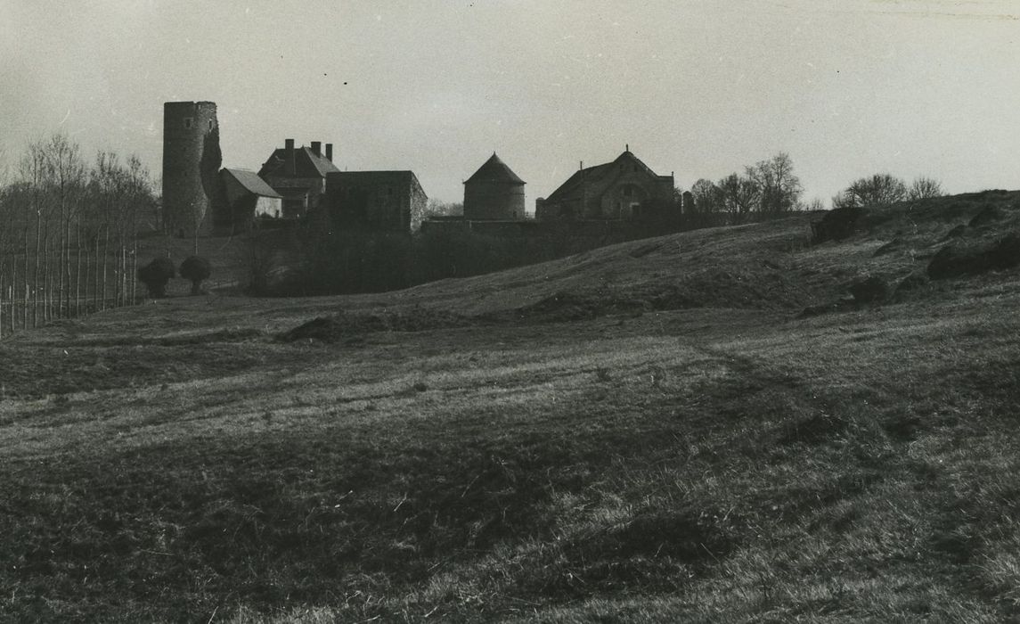 Prieuré de Lavaré : Vue générale du prieuré dans son environnement