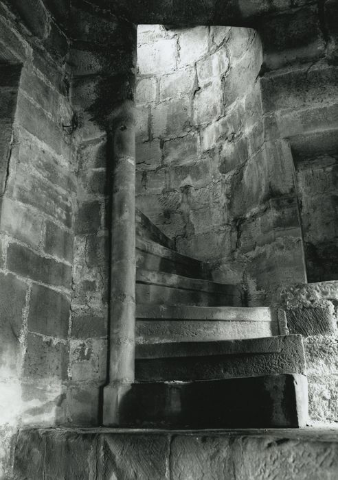 Hôtel Thiadot dit Maison du bailli : Escalier, 4e niveau, accès à la plate-forme