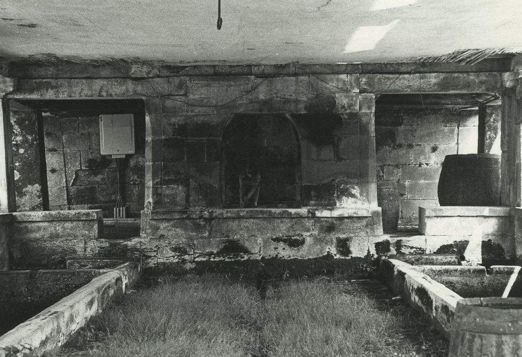 Mairie-Lavoir : Lavoir, fontaine, vue générale