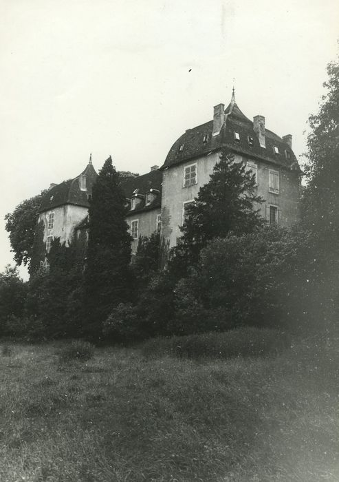 Château de Roche : Ensemble est, vue générale