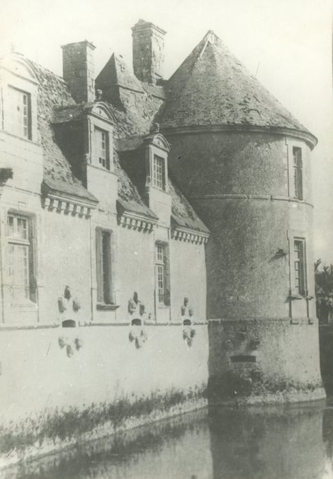 Ruines du château : Façade sud, vue partielle