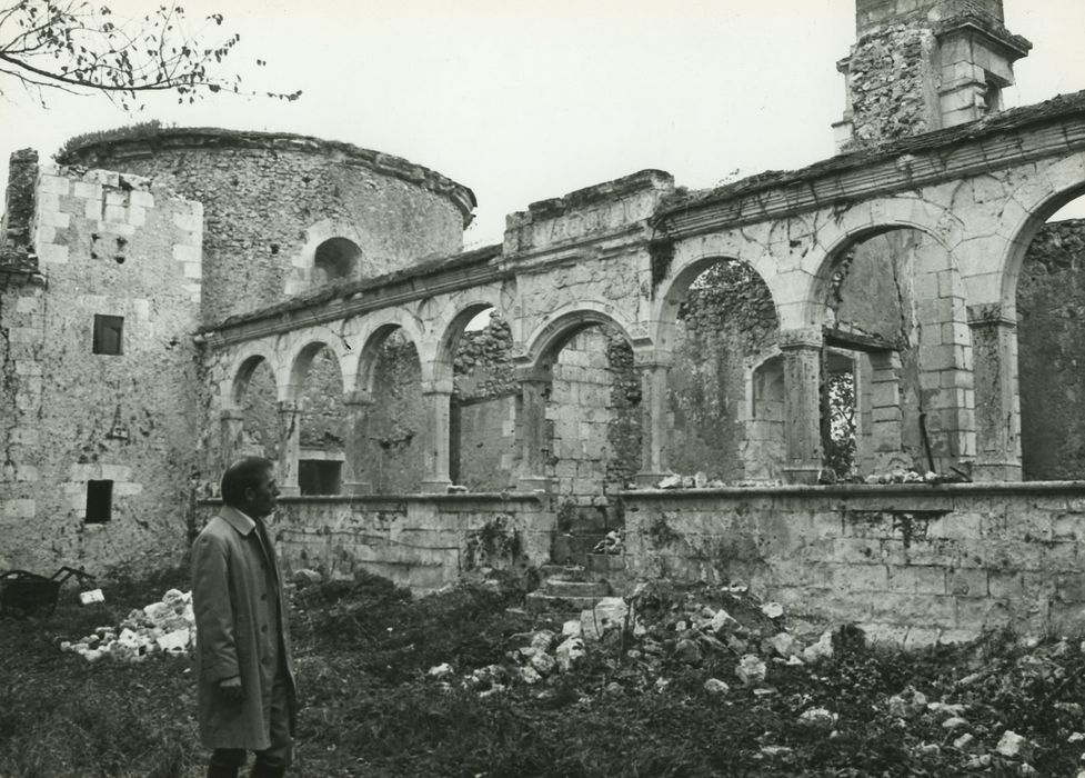 Ruines du château : Façade nord, vue partielle