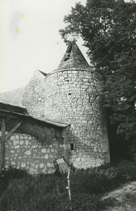 Manoir de la Chetalière : Tour sud-ouest, vue générale