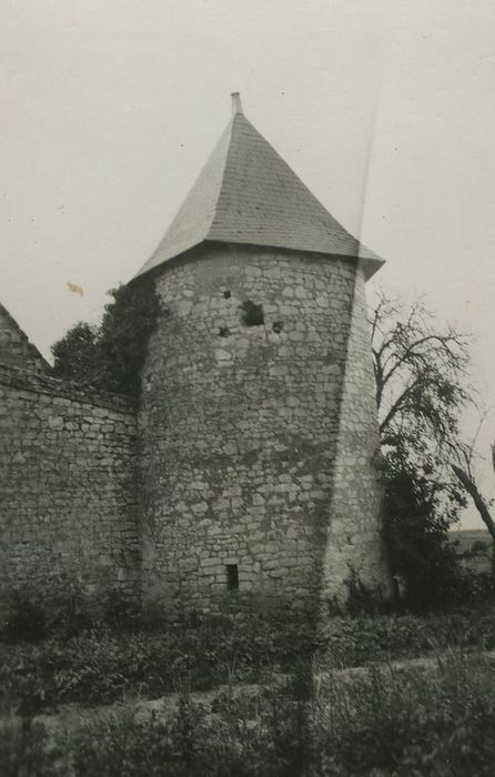 Manoir de la Chetalière : Tour nord-est, vue générale