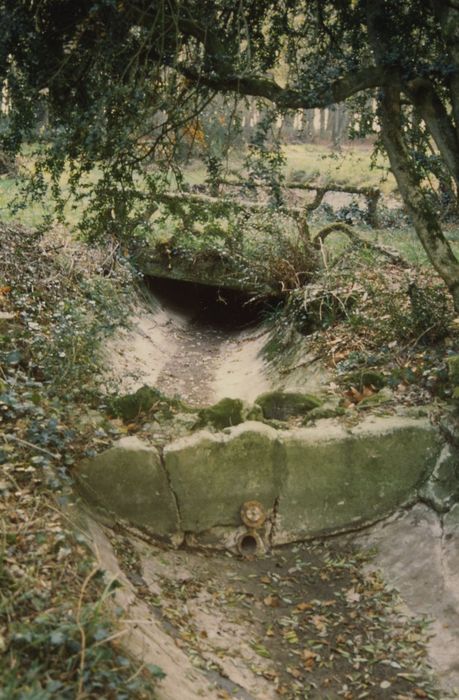 Domaine de la Donneterie et Ferme industrielle de Platé (également sur commune de Neuvy-le-Roi) : Parc, détail d’une canalisation d’un ruisseau artificiel