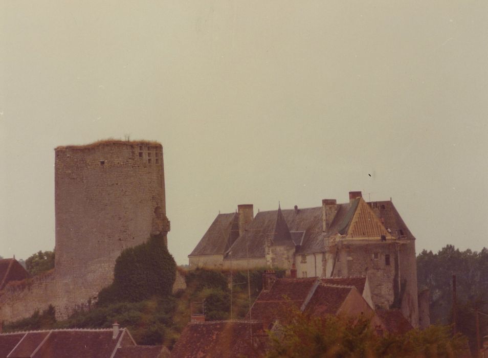 Château du Châtelier : Vue partielle du site depuis le Nord