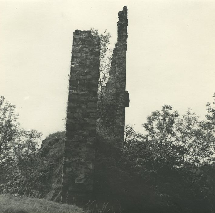 Ruines du château de Jonchères : Vue partielle des ruines