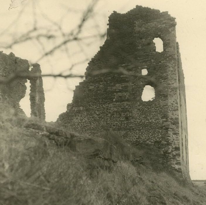 Château d'Artias : Vue partielle des ruines