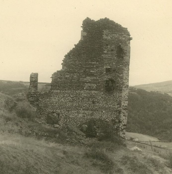 Château d'Artias : Vue partielle des ruines