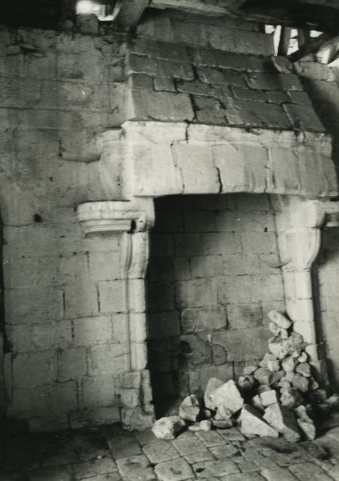 Château de Chargé : Donjon, cheminée monumentale, vue générale