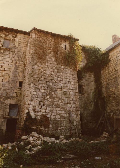 Château de Chargé : Façade ouest, vue partielle