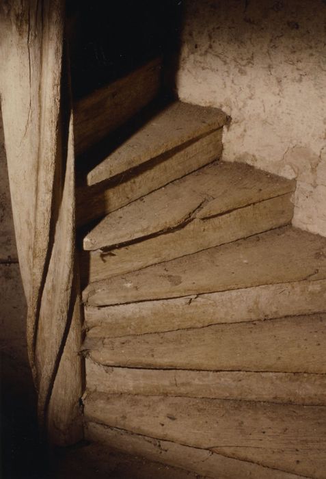 Manoir de la Fosse : Escalier, détail