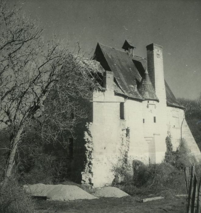 Vestiges de l'abbaye de Turpenay : Façade ouest, vue générale