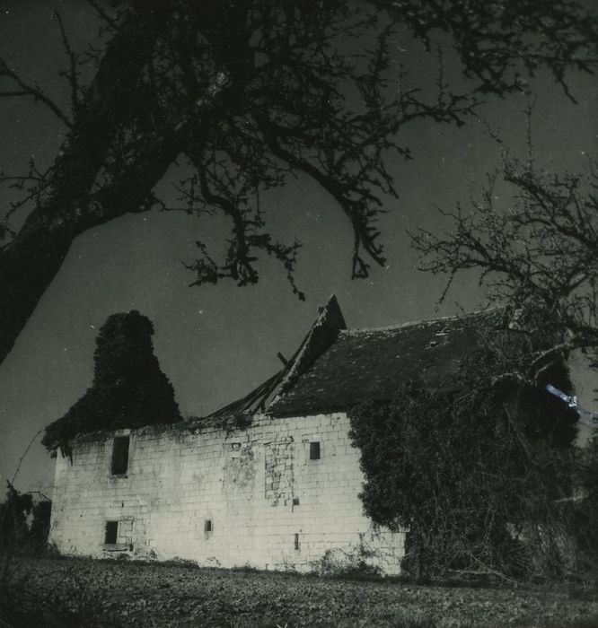 Vestiges de l'abbaye de Turpenay : Bâtiment nord, façade nord, vue générale