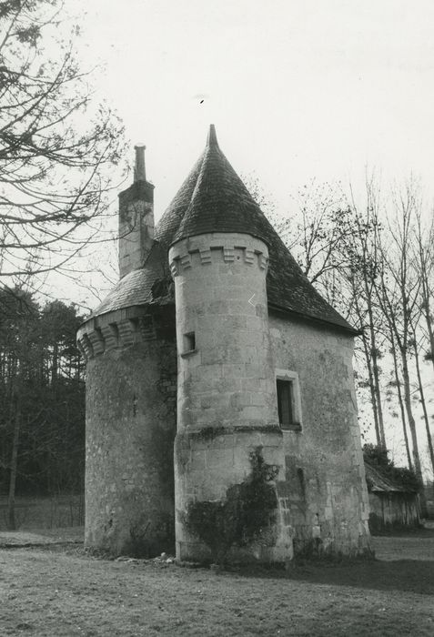 Ancien château de Montgauger (ou Mongoger) : Tour nord, vue générale