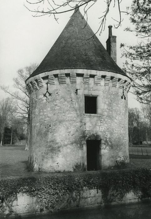 Ancien château de Montgauger (ou Mongoger) : Tour nord, vue générale