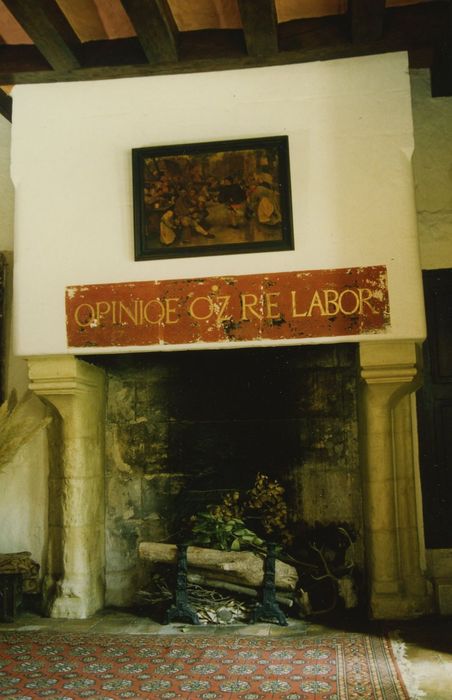 Manoir d'Andigny : Cheminée monumentale, vue générale