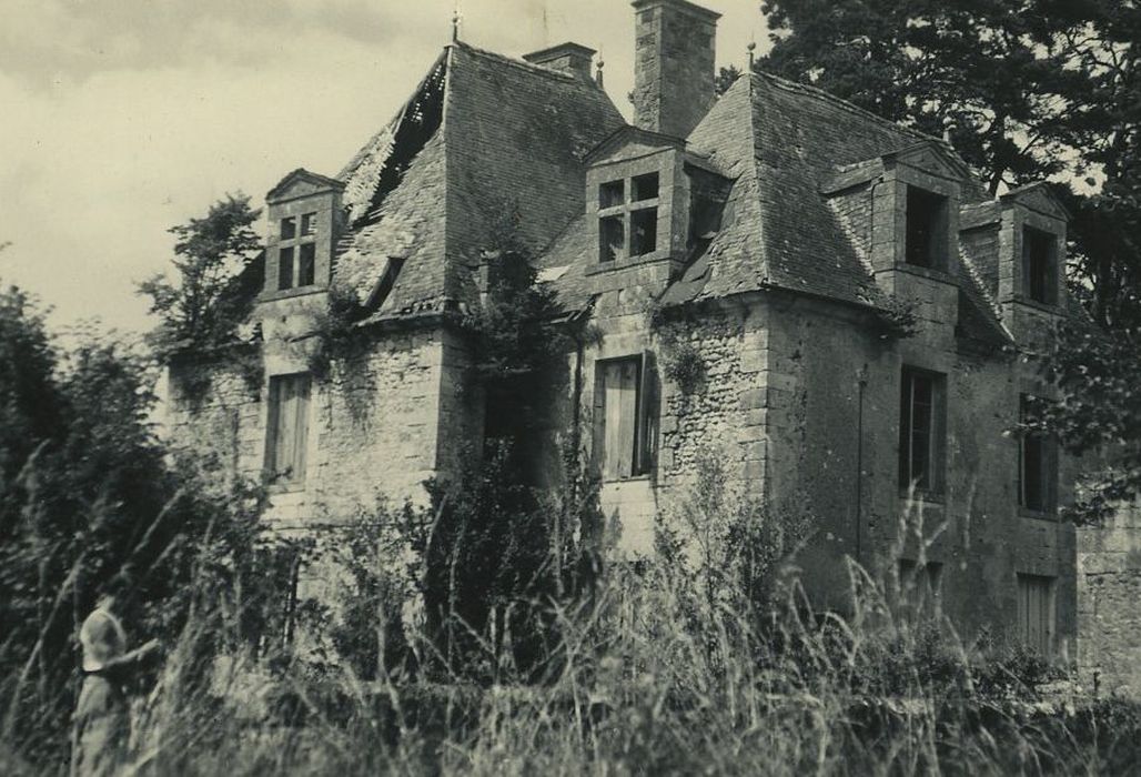 Restes de l'ancien château du Grand Launay : Ensemble sud, vue générale