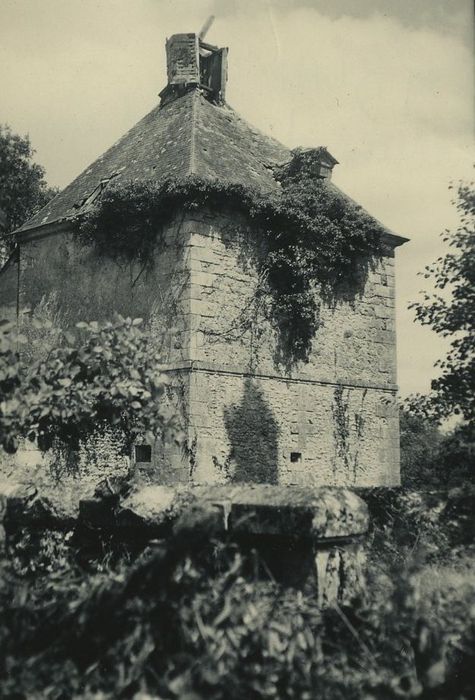 Restes de l'ancien château du Grand Launay : Pigeonnier, façades sud et ouest, vue générale