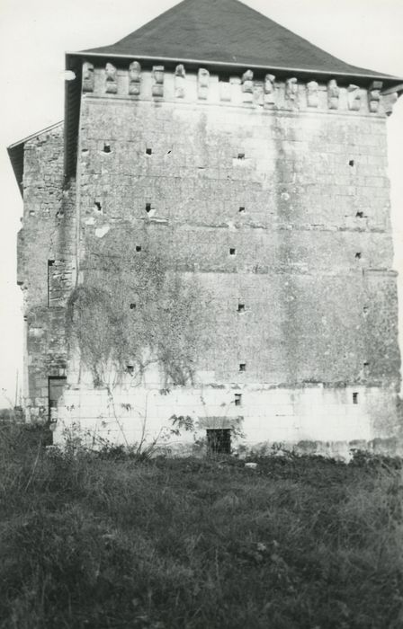 Château : Donjon, façade sud, vue gnéarle