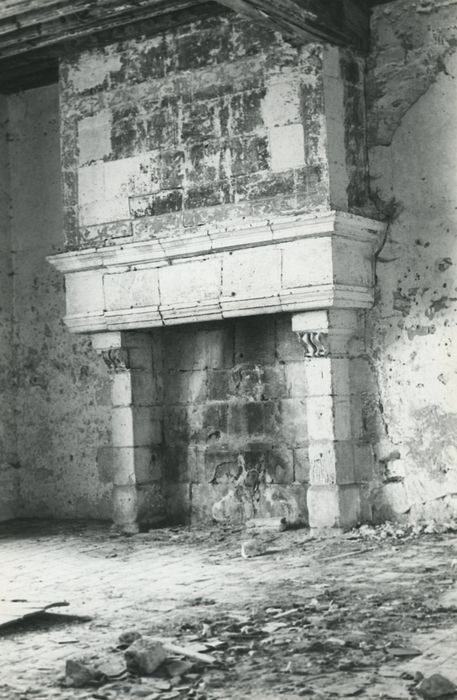 Château : Donjon, 1er étage, cheminée monumentale, vue générale