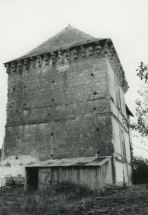 Château : Donjon, façade sud, vue générale