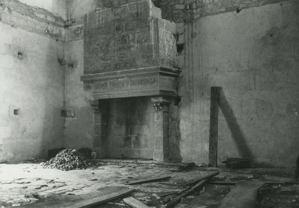 Château : Donjon, 1er étage, cheminée monumentale, vue générale