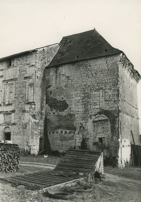 Château : Donjon, façade nord-ouest, vue générale