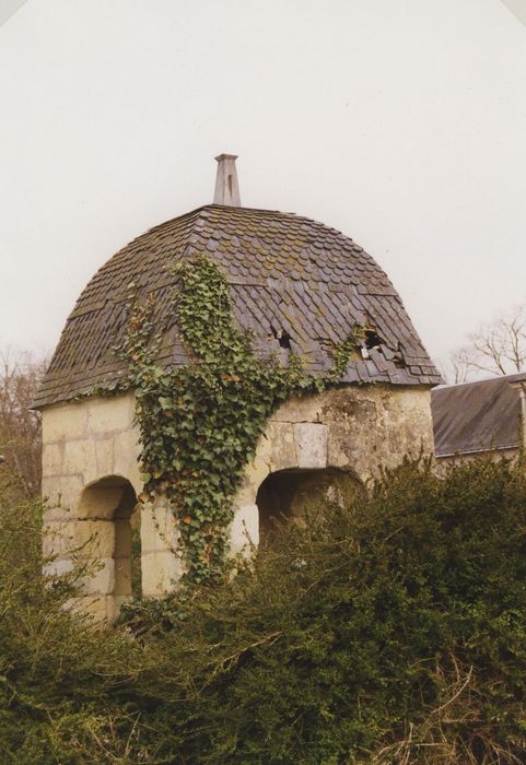 Domaine de Montpensier ou Coudray-Montpensier : Puits, vue partielle