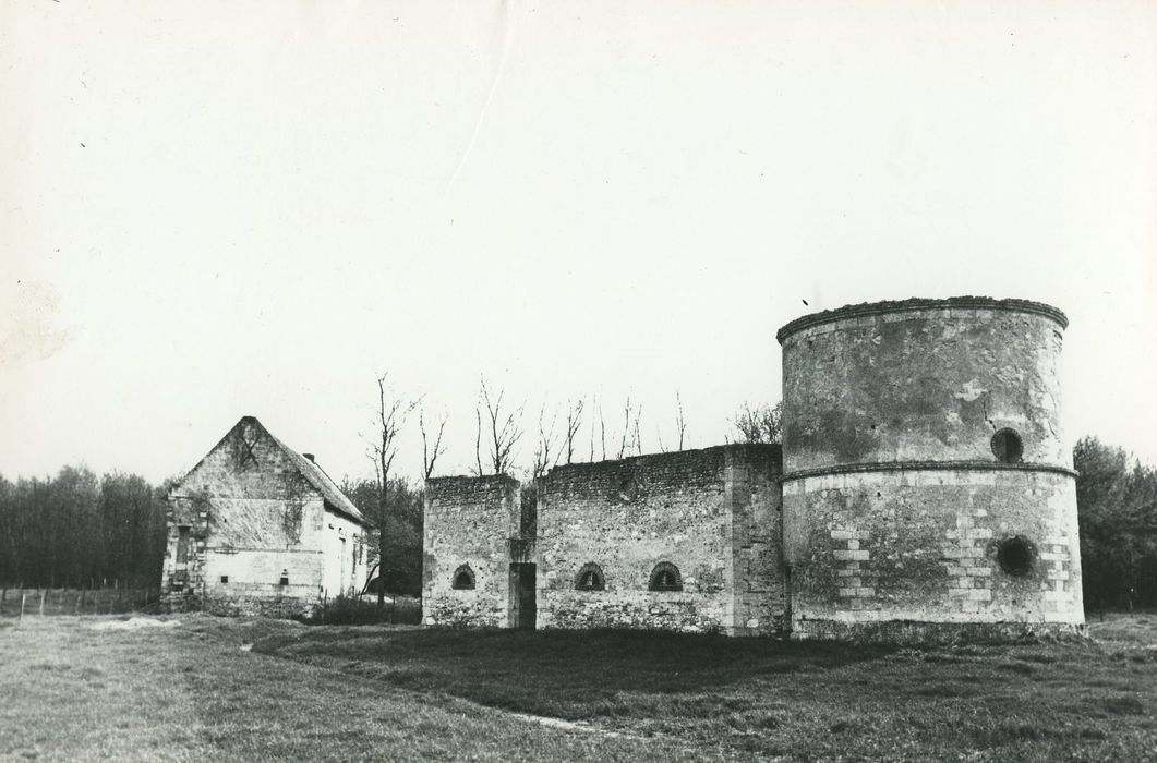 Manoir du Plessis : Ruines, ensemble est, vue générale