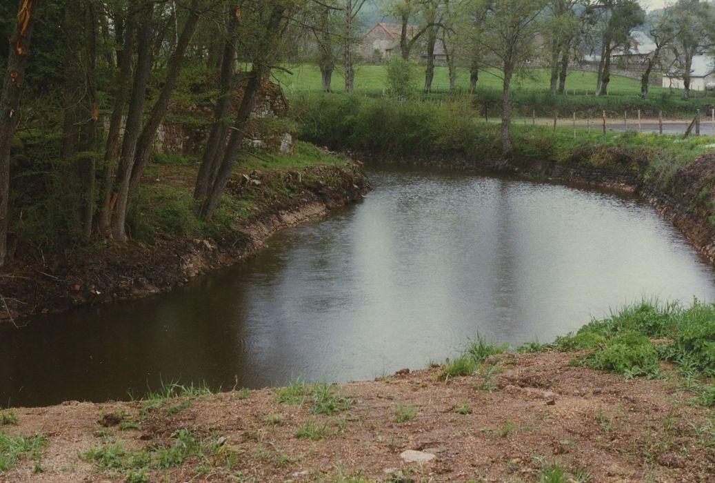 Maison forte d'Alligny-en-Morvan : Douves ceinturant la m aison, vue partielle