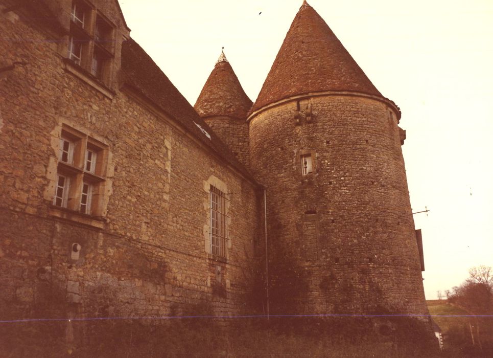 Château de la Motte : Tours nord-est, vue générale