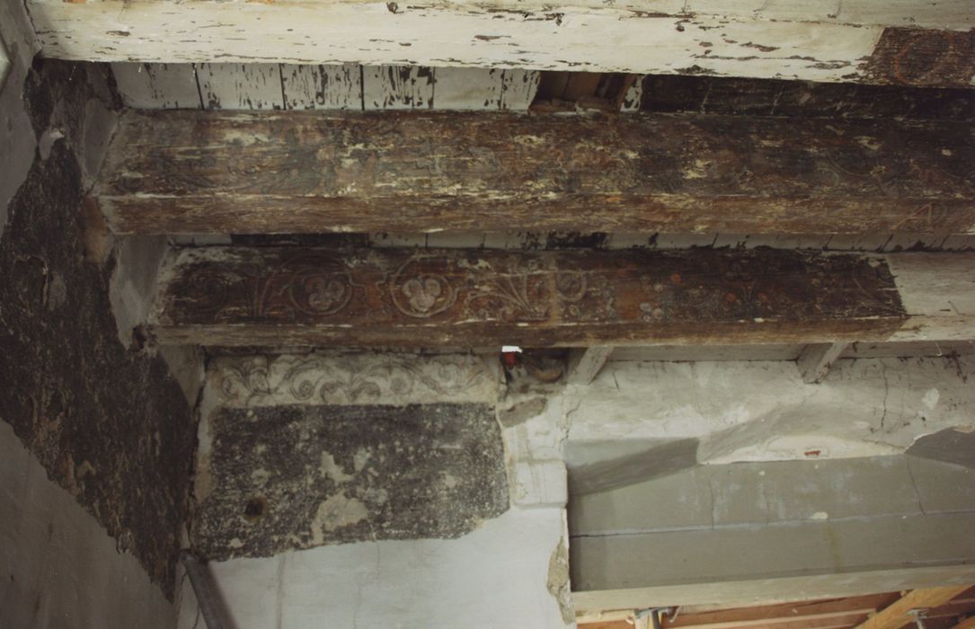 Manécanterie Notre-Dame (ancien Hôtel de Saint-Vidal) : Plafond, détail des peintures monumentales