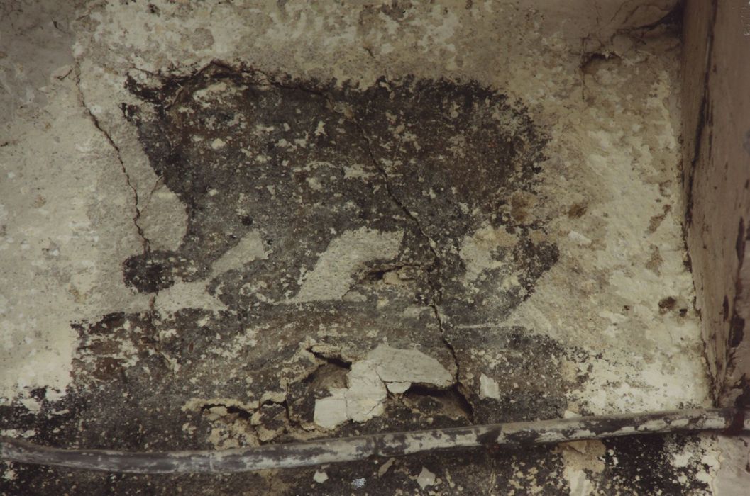 Manécanterie Notre-Dame (ancien Hôtel de Saint-Vidal) : Plafond, détail des peintures monumentales