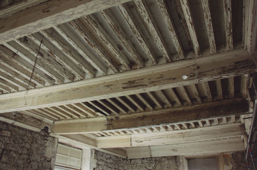 Manécanterie Notre-Dame (ancien Hôtel de Saint-Vidal) : Plafond, vue générale