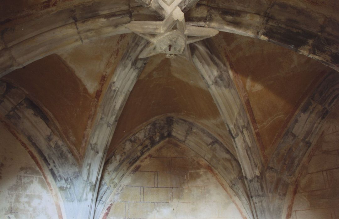 Manécanterie Notre-Dame (ancien Hôtel de Saint-Vidal) : Chapelle, vue partielle de la voûte