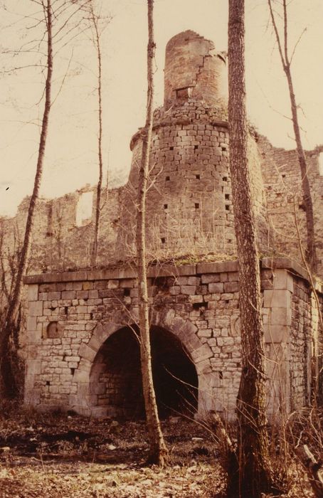 Usine de fer (ancienne) : Hauts fours, vue générale