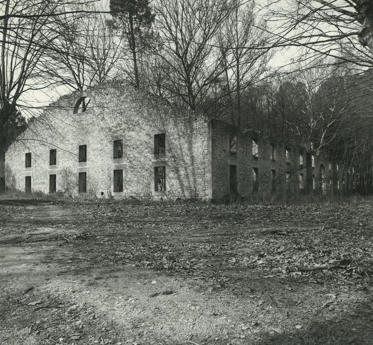 Usine de fer (ancienne) : Fonderie, vue générale