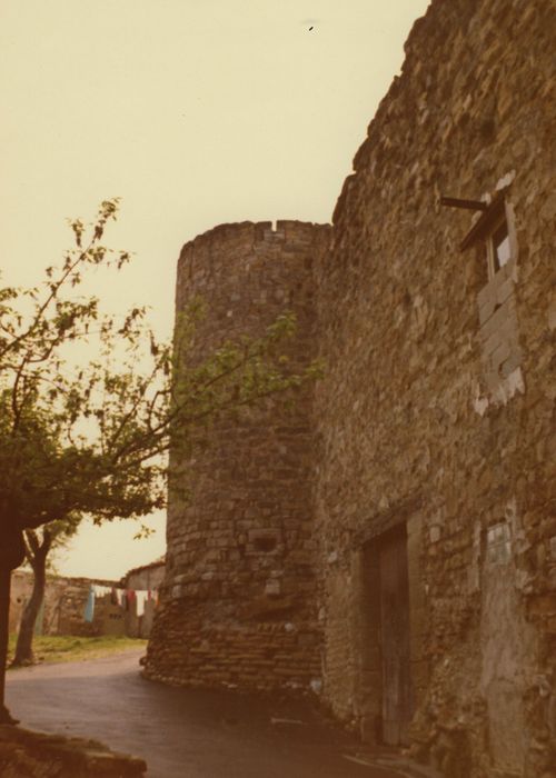 Tour et remparts : Vue générale depuis le Nord