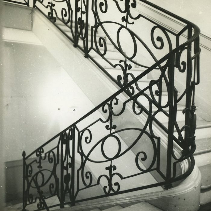 Château de la Chaussade : Escalier d’honneur, détail de la rampe