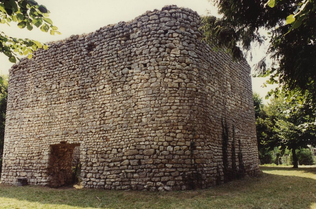 Donjon : Façades est et nord, vue générale