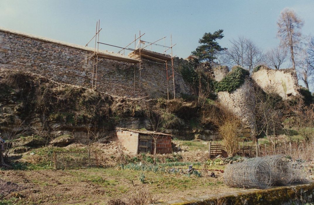 Ancien château : Courtine, murs est, vue générale