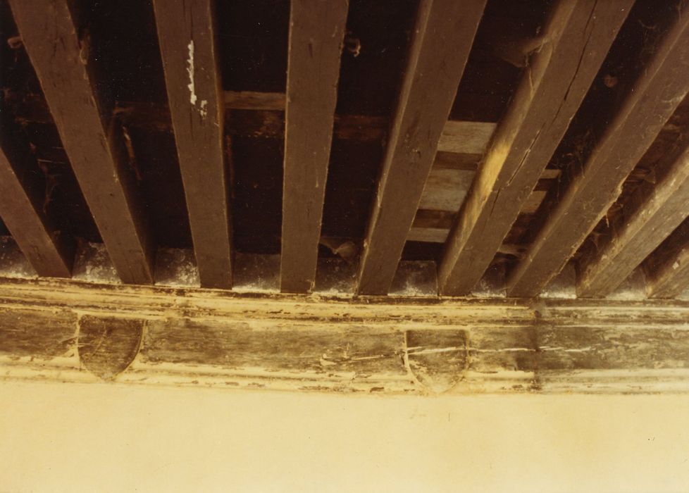 Château (vieux) : Logis, rez-de-chaussée, détail du plafond et de la potre formant corniche