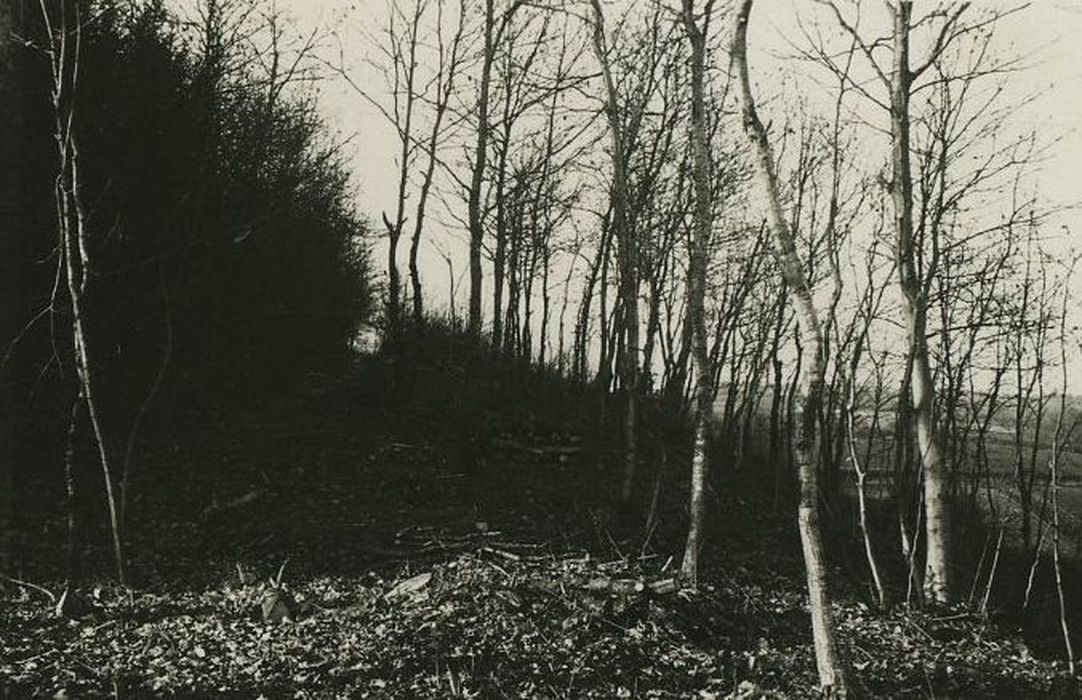 Voie romaine d'Autun à Orléans (ancienne), vue partielle