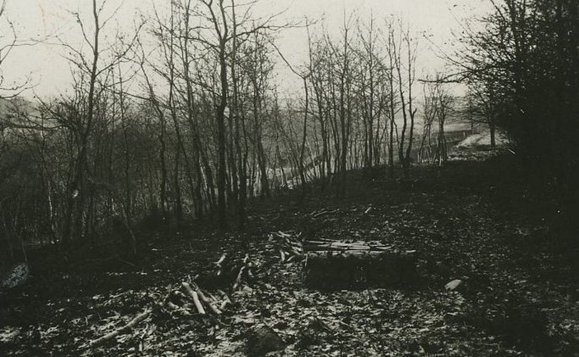 Voie romaine d'Autun à Orléans (ancienne), vue partielle